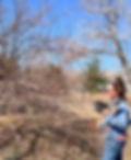 Renovation Pruning Workshop with Reno Food Systems & Permaculture Professional Neil Bertrando