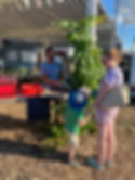 IMG_1534.jpeg