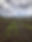 IMG_1407.jpeg